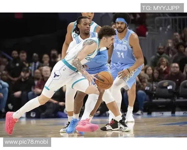 塞克斯顿的2大转变!从骑士核心到黄蜂大腿,‘三球’或成替补